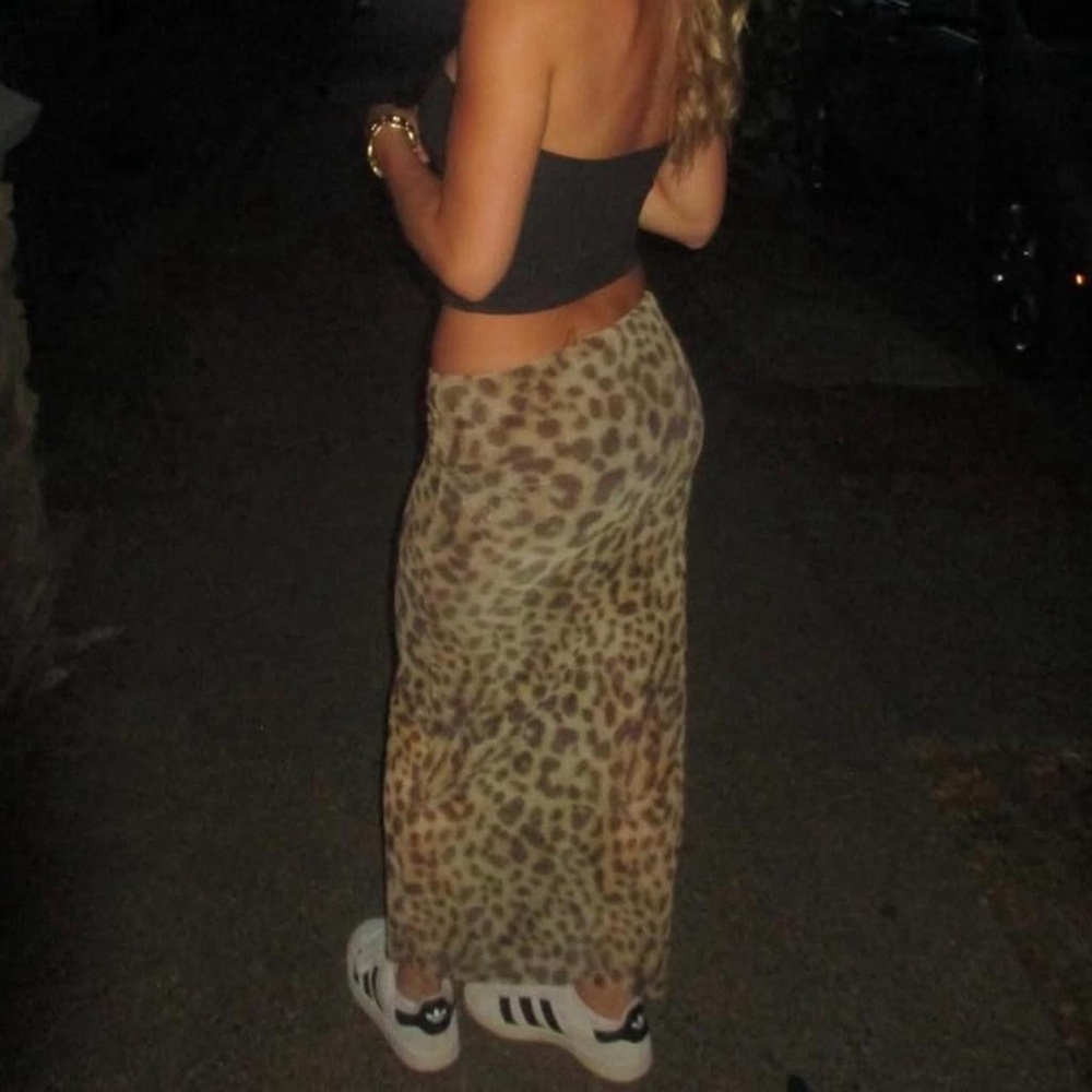 Zara Leopard Print skirt